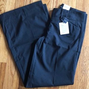 NWT Express pants